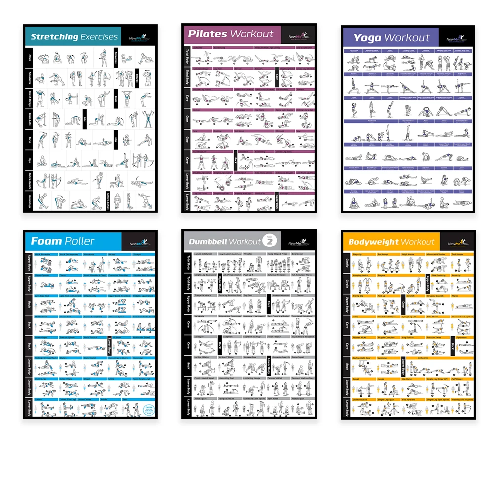 แผนภูมิการฝึกออกกำลังกาย โปสเต - Home Gym Aesthetic บทวิจารณ์และราคา