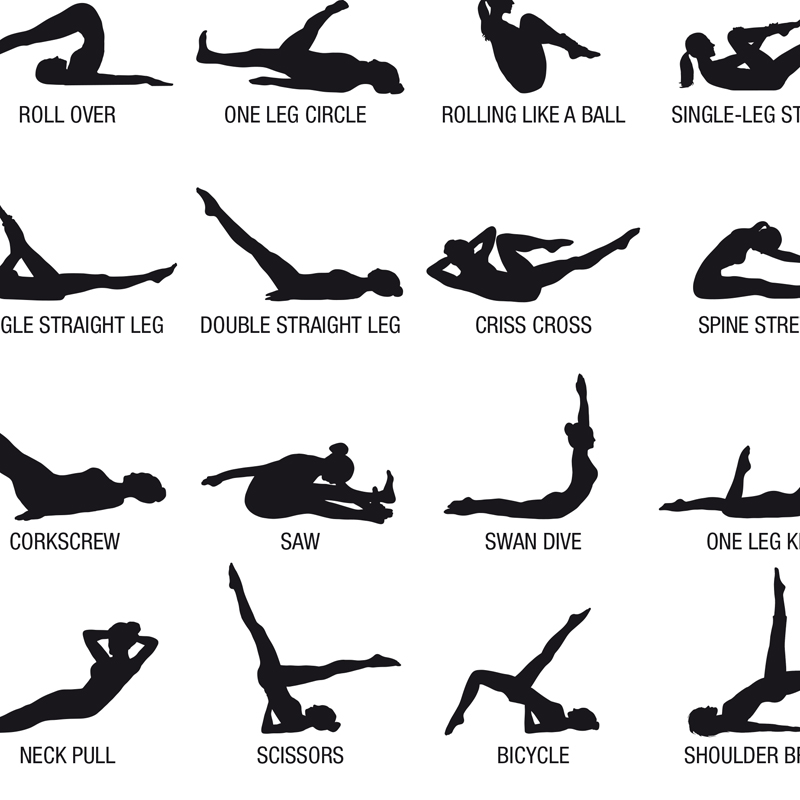 โปสเตอร์แผนภาพการออกกำลังกายพิ - Home Gym Aesthetic บทวิจารณ์และราคา