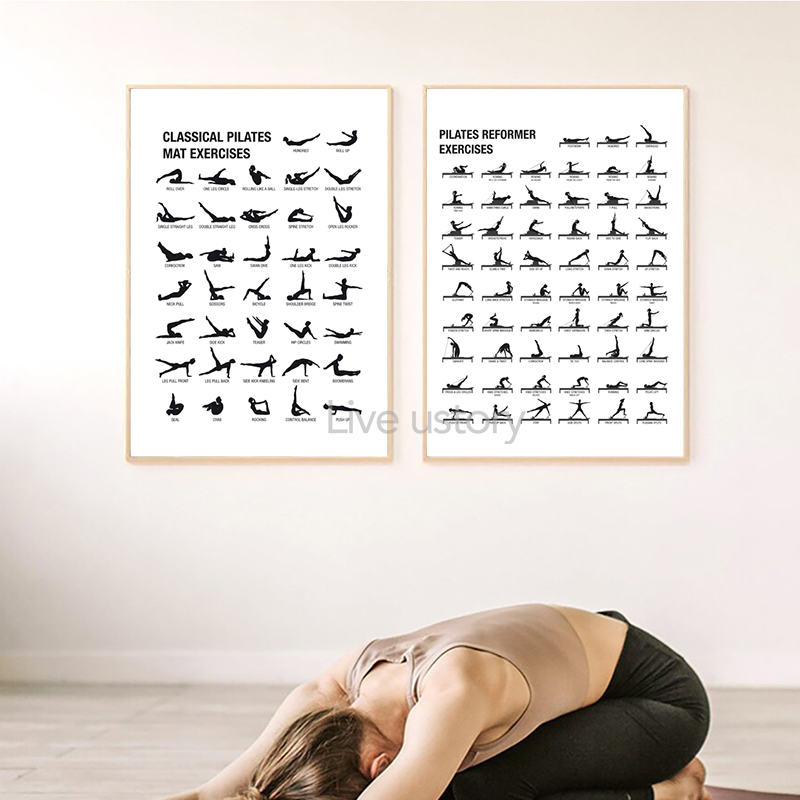 โปสเตอร์แผนภาพการออกกำลังกายพิ - Home Gym Aesthetic บทวิจารณ์และราคา